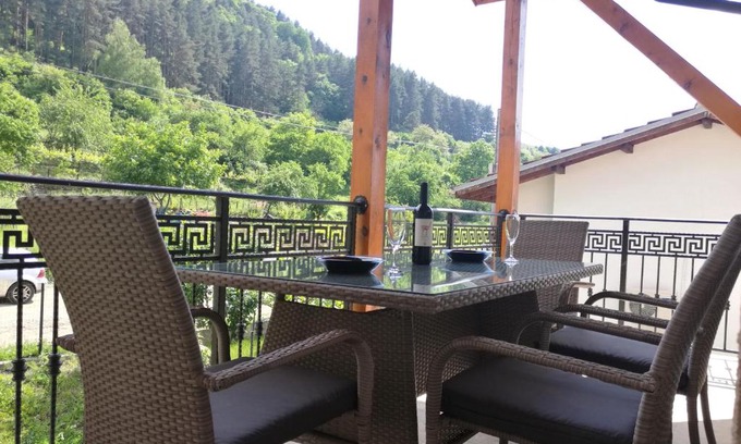 Sapareva Banya Apartment | Forest Apartment