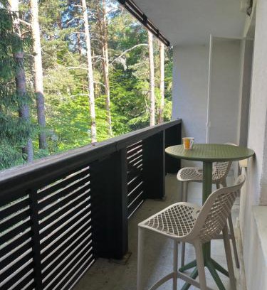 Samokov Apartment | Forest Chamkoria Apartment with Terrace, Borovets