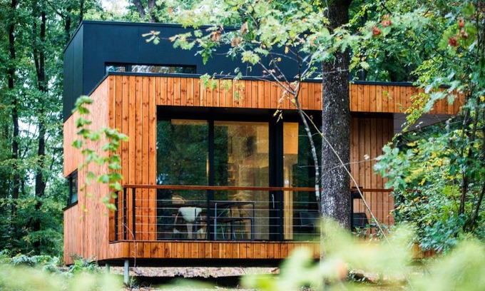 Grandham House | Forest cube Tradition