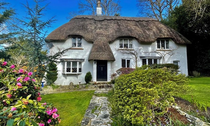New Forest District Cottage | Forest Drove Cottage New Forest Thatched Cottage