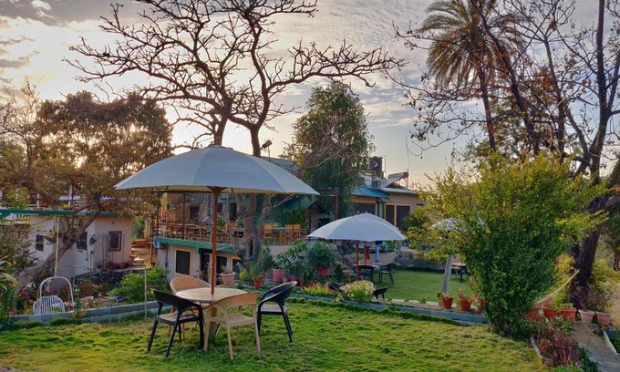 Mount Abu Cabin | Forest Eco Lodge