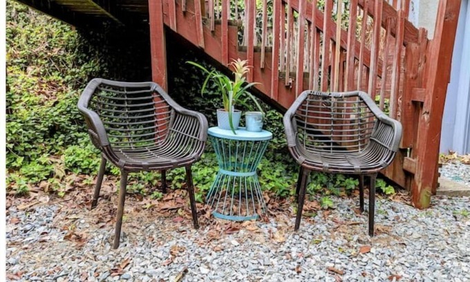 Chapel Hill Apartment | Forest Guest Suite w/Peloton Cycle Bike
