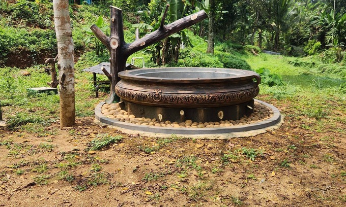 Rani Resort | Forest home where elephants roam