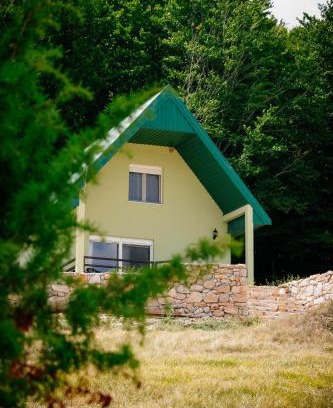 Donja Brezna House | Forest Panorama Cabin Brezna