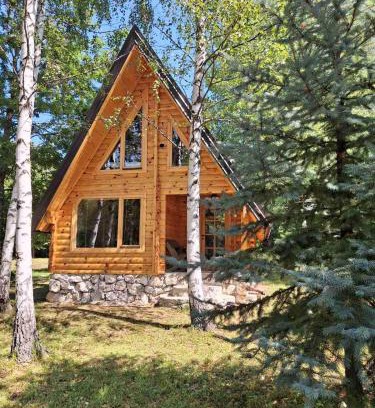 Savnik House | Forest Rhapsody Brezna