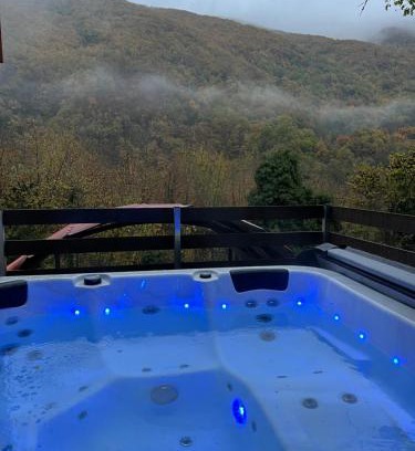 Makrakomi Ski Chalet | Forest view Aggeliki
