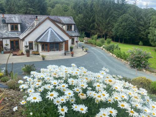 Derrybawn House | FOREST VIEW Woodland lodge