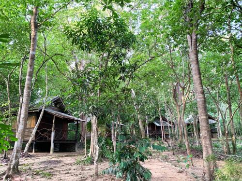 Nuea Khlong House | Foresta Cottage of Koh Pu no6195