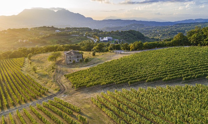 Sorbo Serpico House | Foresteria Relais/Country House surrounded by vineyards