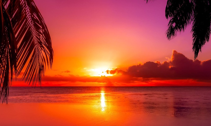 Middle River Terrace Apartment | Fort Lauderdale Cottage - Free Parking near Beach
