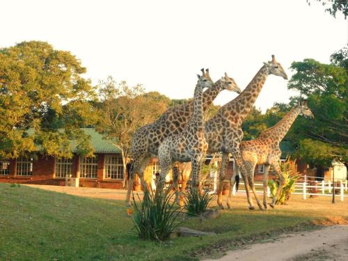 Wartburg Apartment | Fountainhill Estate Accommodation