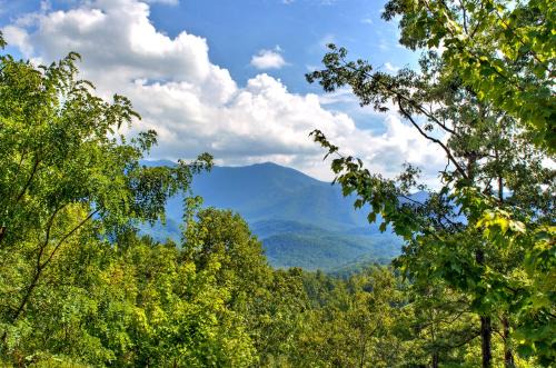 Chalet Village North House | Four bedroom with HOT TUB, MOUNTAIN VIEW, GAME ROOM!