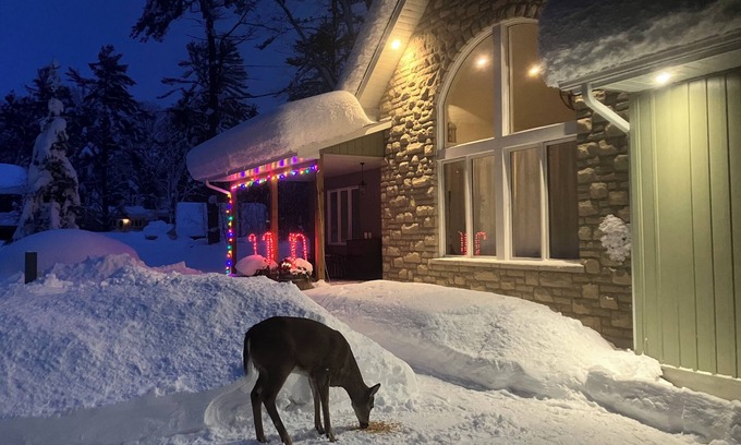 Gravenhurst Cottage | Four-season Cottage with a shared private beach in Muskoka!