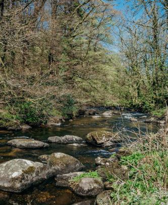 Dartmeet Apartment | Fox Tor Apartment