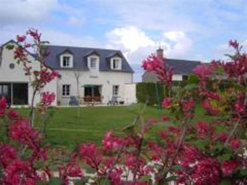 La Chapelle-Saint-Martin-en-Plaine House | Maison avec piscine privative, proche châteaux de la Loire, 3 chambres, animaux acceptés, WiFi inclus - FR-1-491-413