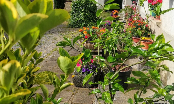 Saint-Georges-de-Mons House | La Maison D'odette 2-star Furnished Accommodation Auvergne/Puy de Dôme.