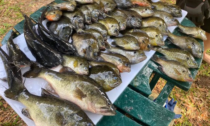 Satsuma House | FREE Boat to use-Fish from the TIKI outback-Dock your boat on canal-Pets OK-4 Br