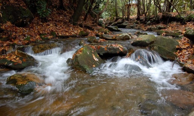 Robbinsville Cabin | Free Local Estate Tours + Peaceful Cabin + Hot Tub Overlooks Creek