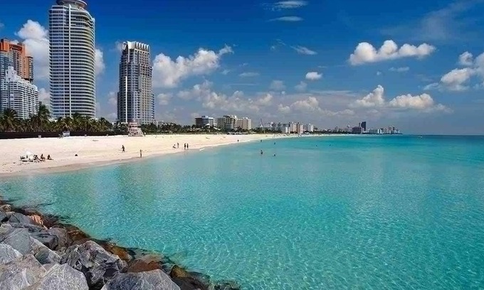 Little Haiti Apartment | Fresh Modern With Pool Oasis