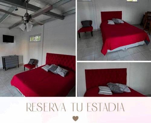 Las Flores Apartment | Frida Hospedaje