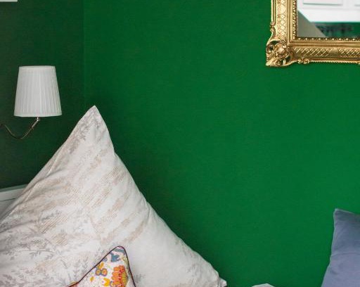 Dersdorf Apartment | Friendly Home - Einzelappartement "Grow" Köln Bonn Phantasialand