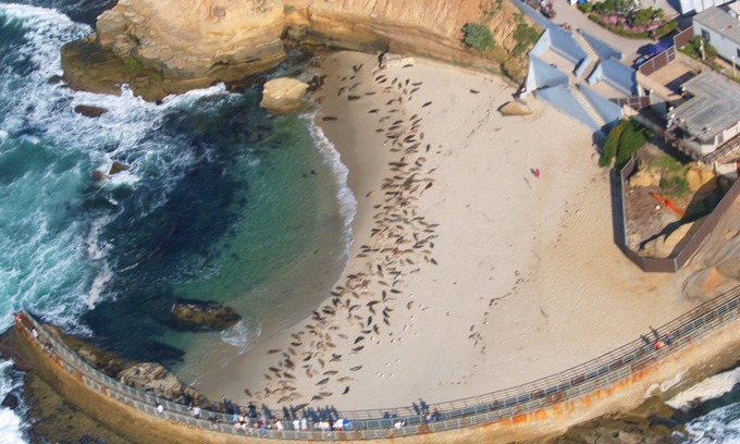 Village of La Jolla Hotel | Friends and Family Vacation! Two Convenient Units, Restaurant, On-Site Dining