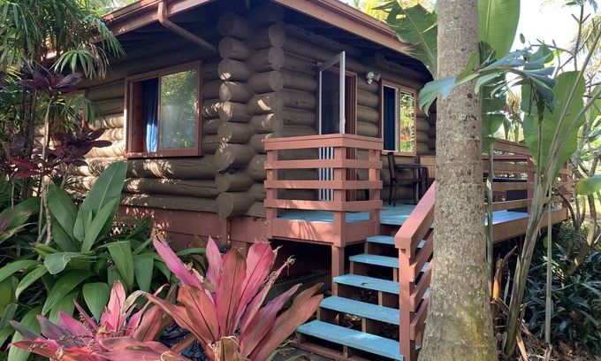 Kukuihaele Cabin | FROG POND: Cozy, family streamside/garden & cabin for 3-4 next to Waipio Valley