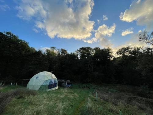 Whitland Other | Frowen Fields Eco Glamping and Camping