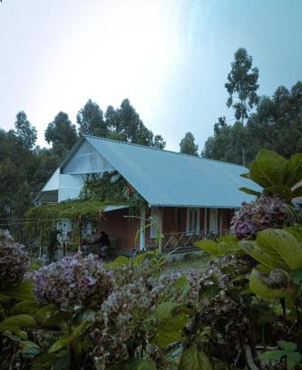 Vattavada House | Fruit land resort