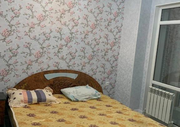 Bishkek Apartment | Frunze hotel