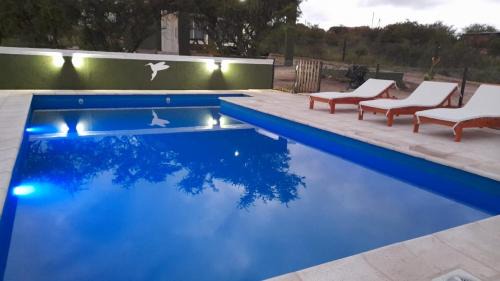 San Lorenzo Apartment | Fuerza Natural