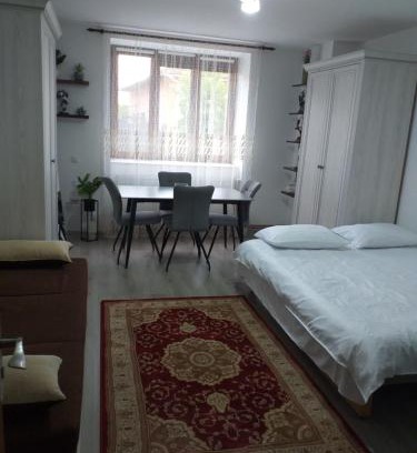 Sighetu Marmatiei House | Fully Furnished Studio