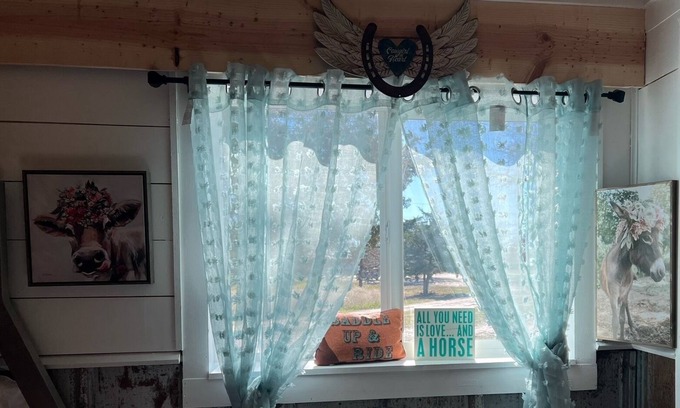 Carmine Bed & Breakfast | Funky Cow Chick