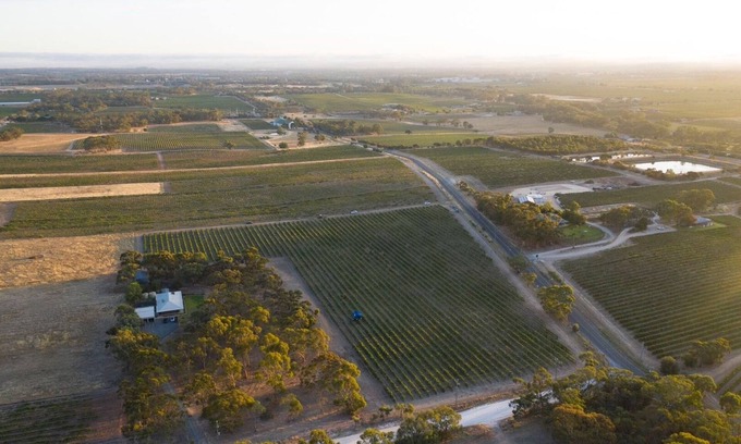 Stone Well House | Furche Barossa 5 bed Stay: Vineyards and Fireplace