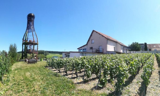 Romery Villa | gîte coeur de champagne