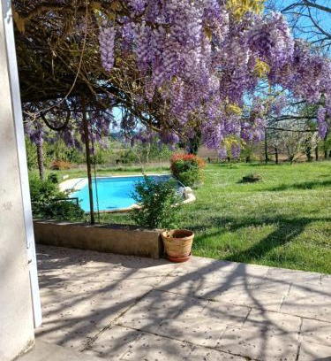 Marmande House | Gîte de la glycine