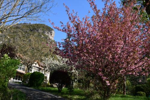 Mostuejouls House | Gîte Domaine du Théron