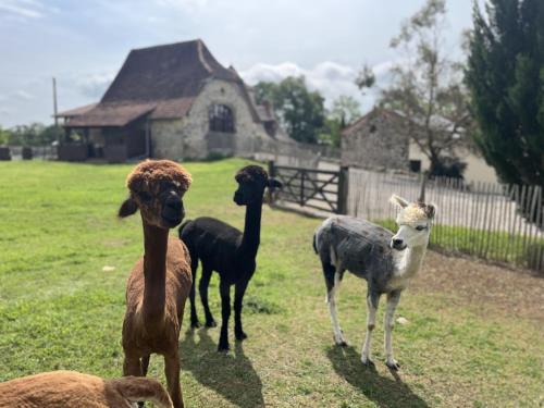 Fons House | Gîte La Borie