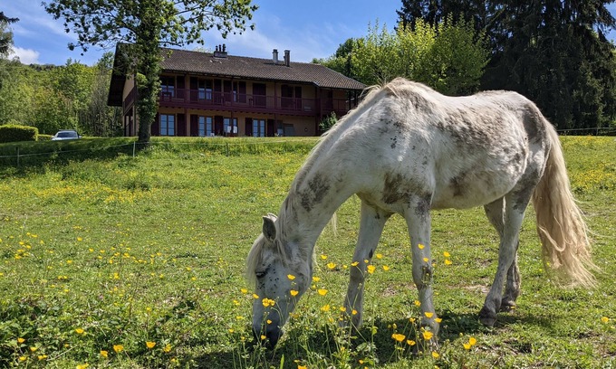 Neuvecelle House | Gîte Les Vernes (11-13 pers.)