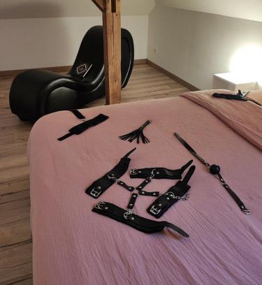 Bindernheim Apartment | Gîte-Love Room L'Albizia - Escapade romantique