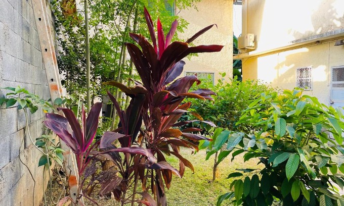 Mamoudzou House | Gîte Rose Doudou