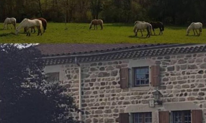 Sugeres House | Gîte Rustique et Confortable, en Plein Cœur du Livradois Forez