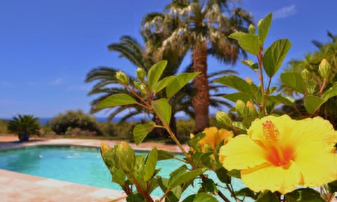 La Cadiere-d'Azur Apartment | Gîte Vue Mer