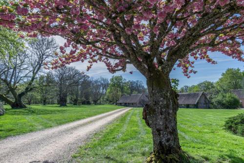 Brinon-sur-Sauldre House | Gîtes les Muids - Les "Oiseaux" et la "Ferme"