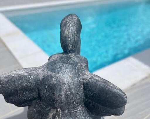 Pelletan Villa | Gîtes Surya