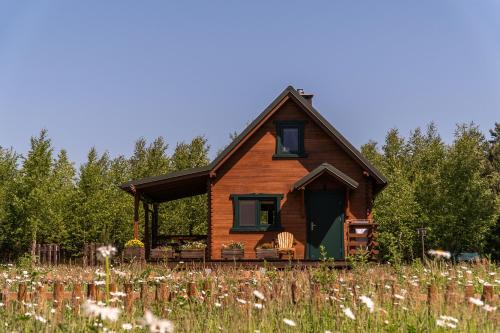 gmina Osiek House | Głuszecki las