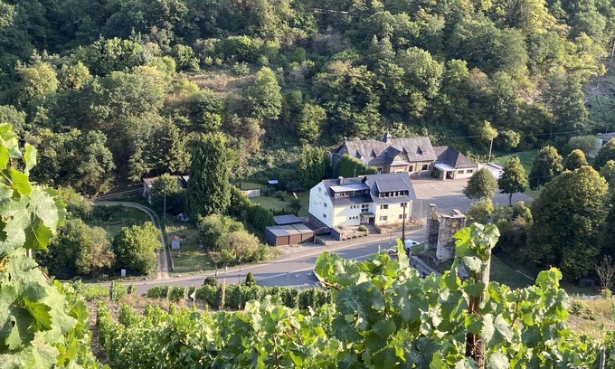 Mainz-Bingen Apartment | (g) Roosike vacation in Bacharach-Steeg, modern apartment in the countryside