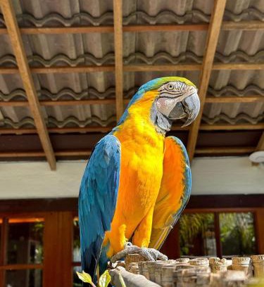 Teresopolis House | Gaia Hotelaria