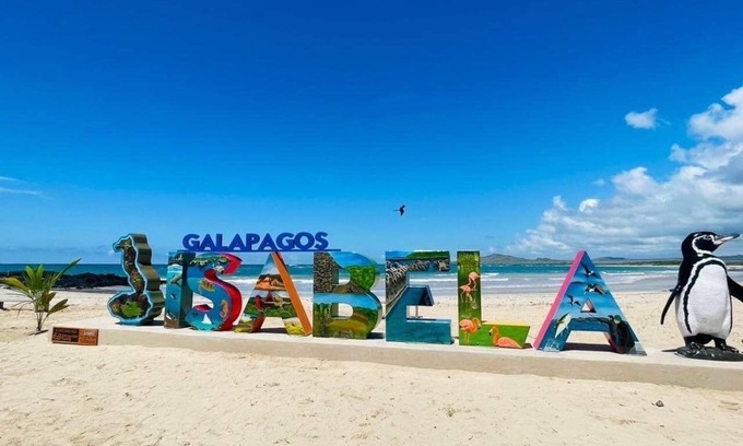 Puerto Villamil Hotel | Galápagos Isabela Hotel Loja