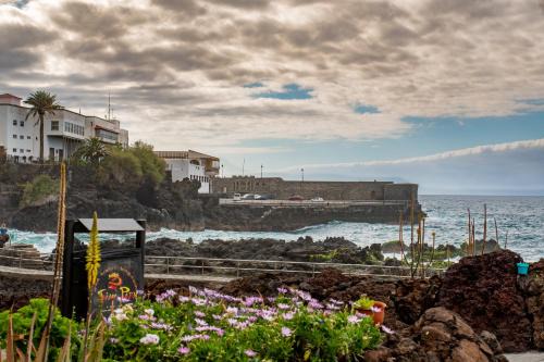 Punta del Hidalgo Apartment | Garaymaca